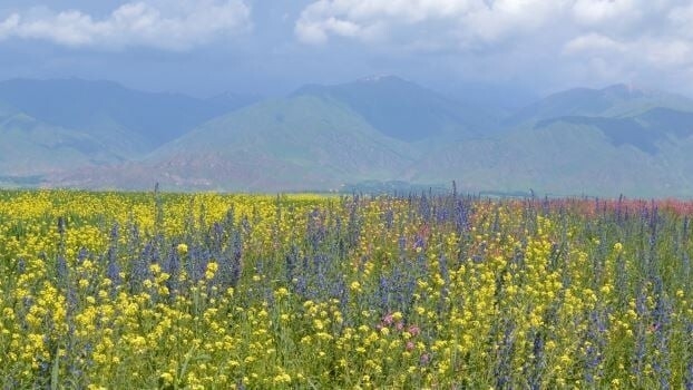 キルギスの風景