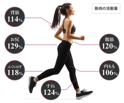 筋肉使用量(2)