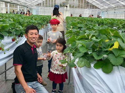 いちご狩り