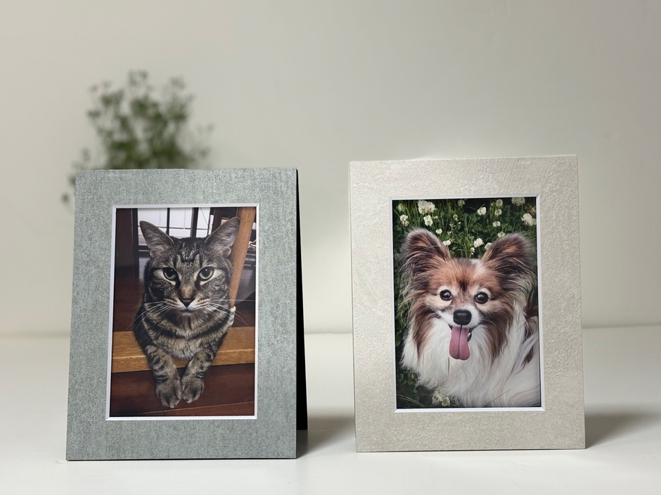 プチテコレ(ネームタグなし)