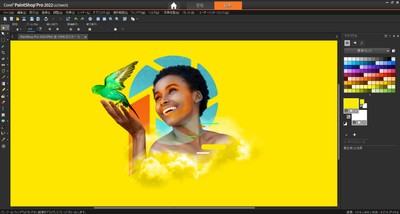 新発売 PaintShop Pro 2022