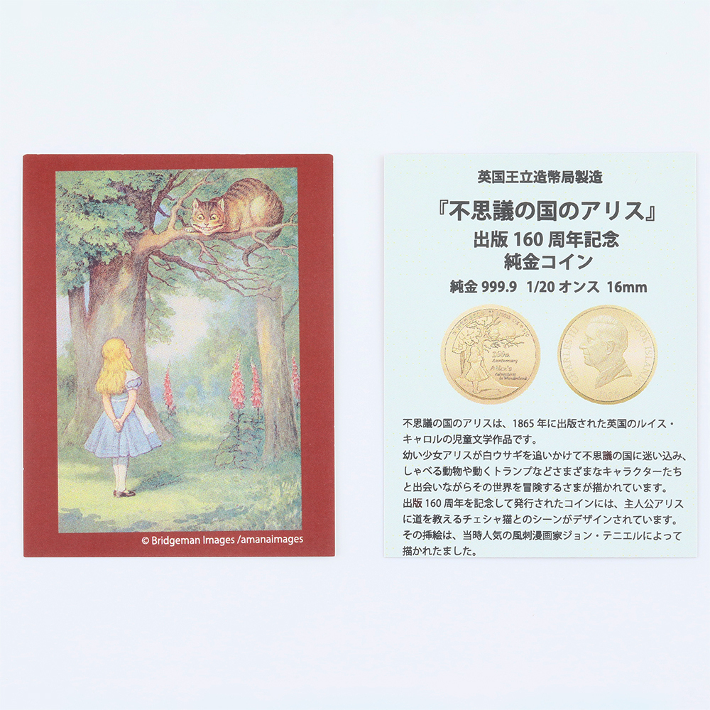 ライセンスカード