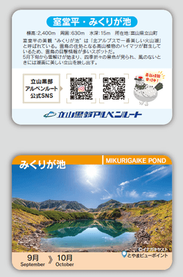 ご注文の方先着800名様に 秋版みくりが池カードをプレゼント