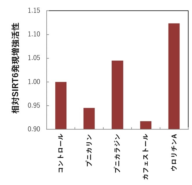 ポリフェノール学会図3