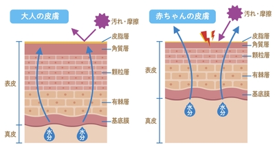 赤ちゃんの肌の特徴