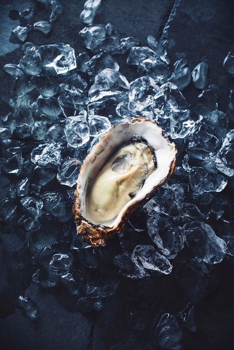 美浄生牡蠣メインビジュアル