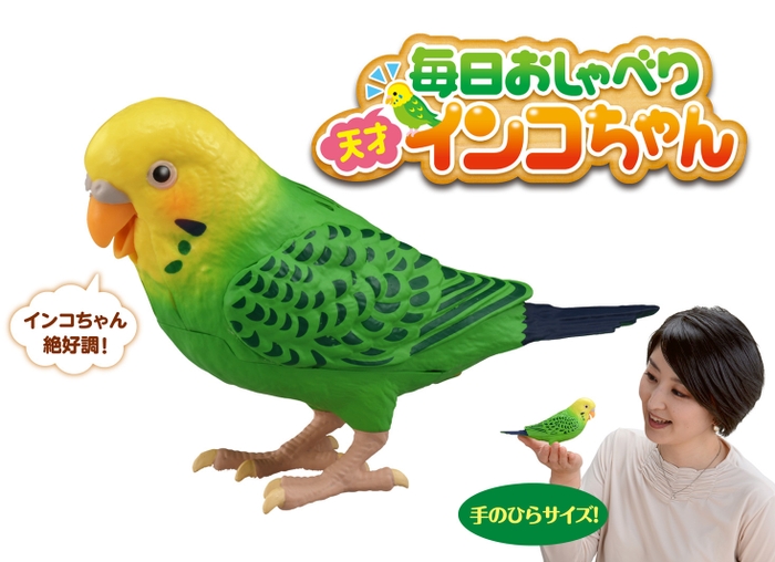 毎日おしゃべり 天才インコちゃん 1