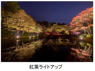 一足早い紅葉のライトアップと夜間限定公開のアートを楽しむ 六甲高山植物園 「夜の紅葉散策」「ザ・ナイトミュージアム」 10月16日(土)～11月23日(火・祝)同時開催！