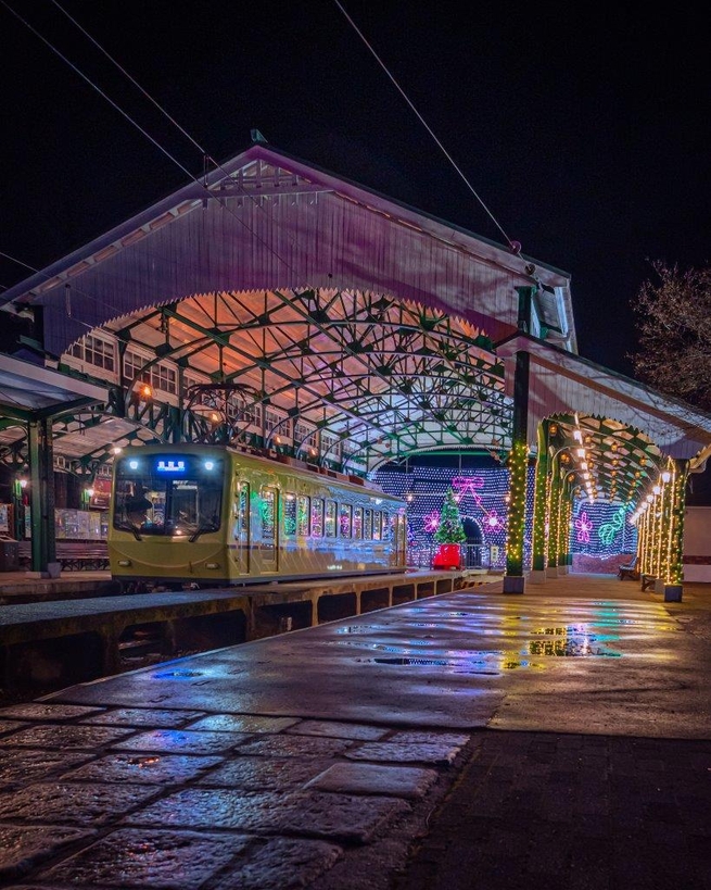 Instagramアカウント名 @lotus.m.lotus さま