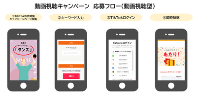 動画視聴キャンペーン応募フロー