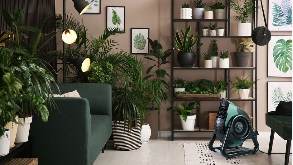 グリーンの多いリビングにそよ風を