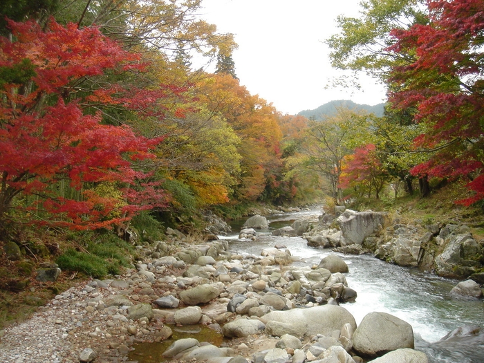 名倉川