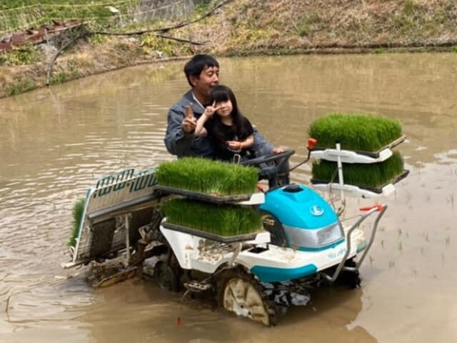田植え風景