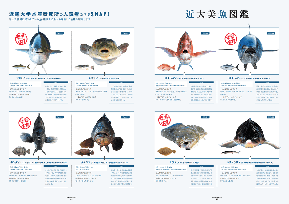 あの注目企画がリニューアル!?