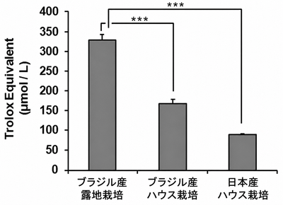 抗酸化活性の比較