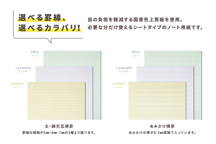 選べる罫線、選べるカラバリ！