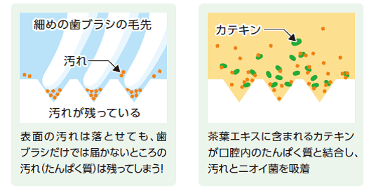 茶葉エキスで固めてお口スッキリ！