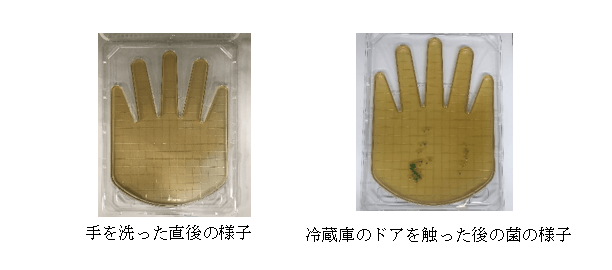 冷蔵庫のドアについた菌が他の人に移る様子