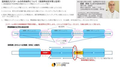 スパオール メカニズム
