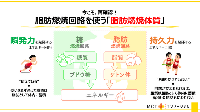 カギとなるのは「ケトン体」