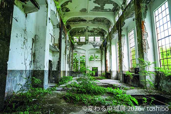 展示作品:toshibo