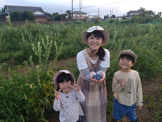 千葉県野田市の数藤農園、ブルーベリー観光農園の開園支援を募る クラウドファンディングをCAMPFIREにて12/31まで実施中！