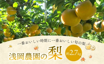 【大分県九重町ふるさと納税】おいしい旬の梨をお届け！「浅岡農園の梨」を受付中です。