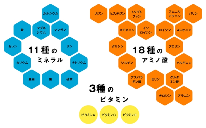 各種栄養素が肌の潤いをサポート