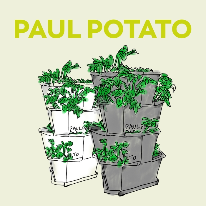 PAUL POTATO イラスト風