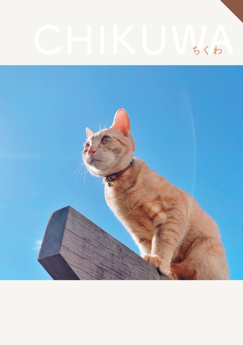 テレワーク社猫 ちくわ