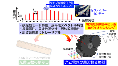図1 光コムの光/電気周波数変換を用いた電気周波数読み出し型光バイオセンシング
