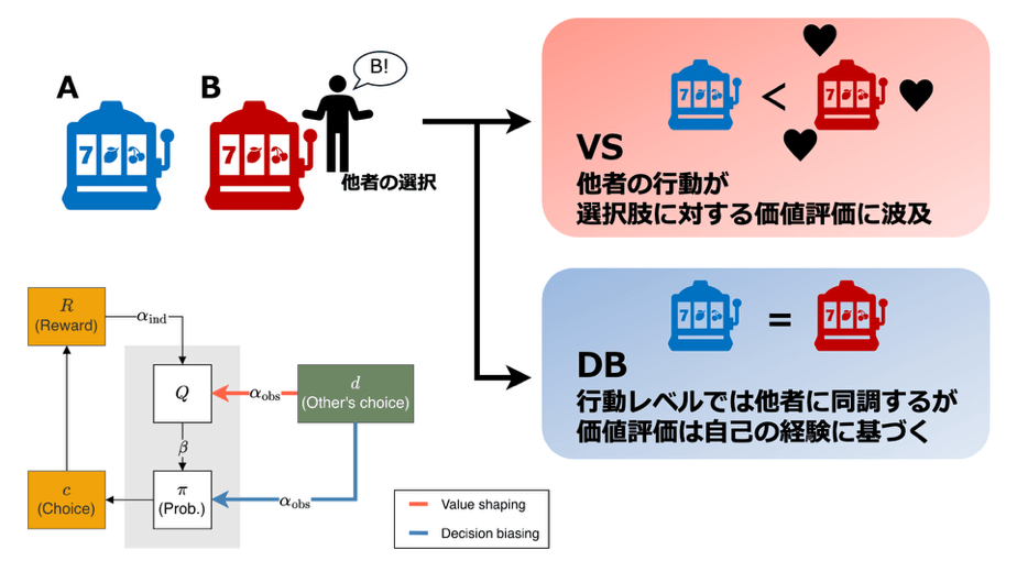 図1 2つの社会学習アルゴリズムの違い