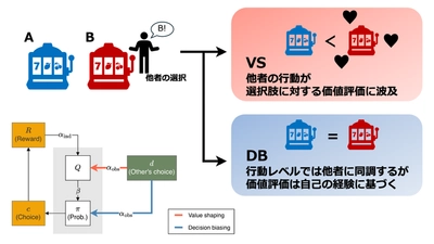 集団が急激な環境変化に柔軟に対応できるための 認知・行動メカニズムを理論的に解明
