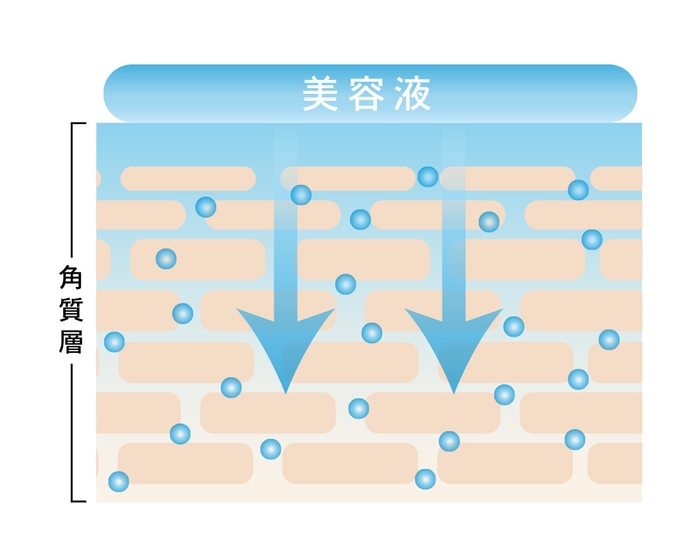 浸透*イメージ