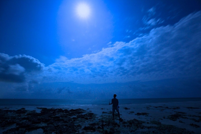 【星のや竹富島】島だこ採り(3)