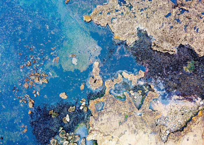 アウト オブ アース イメージ