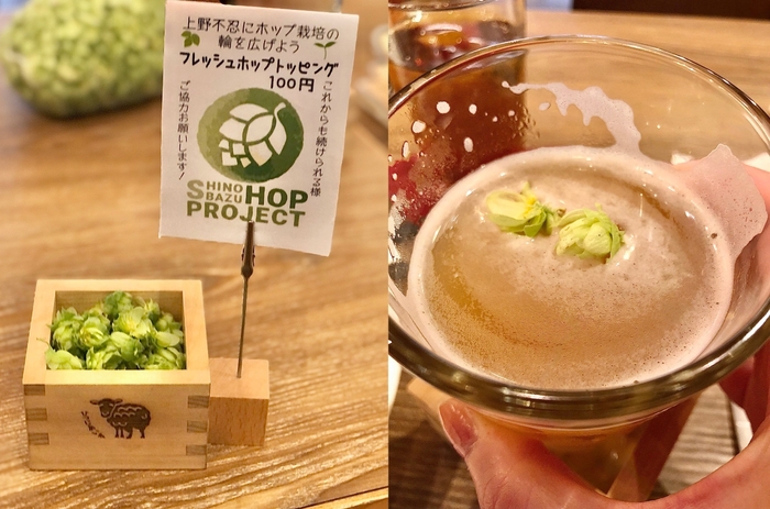 生のホップが出回るこの時期だけのホップトッピングサービス。ビールに1個をのせただけで、ホップの爽やかな香りが通常の何倍にも広がる