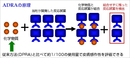 皮膚感作性試験代替法「Amino acid Derivative Reactivity Assay（ADRA）」を開発