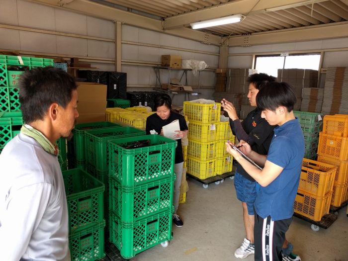 産地見学:サラダボウル(山梨県中央市)