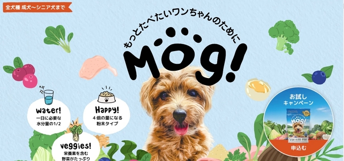 「Mog!」公式サイトにて「お試しキャンペーン」を実施