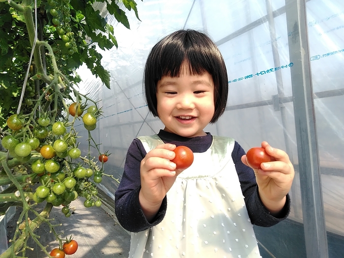 末っ子娘が収穫をお手伝い?