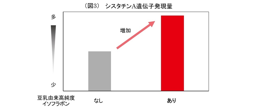 (図3)シスタチンA遺伝子発現量