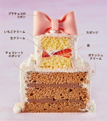 マリアージュ　ディアプリンセス(断面)