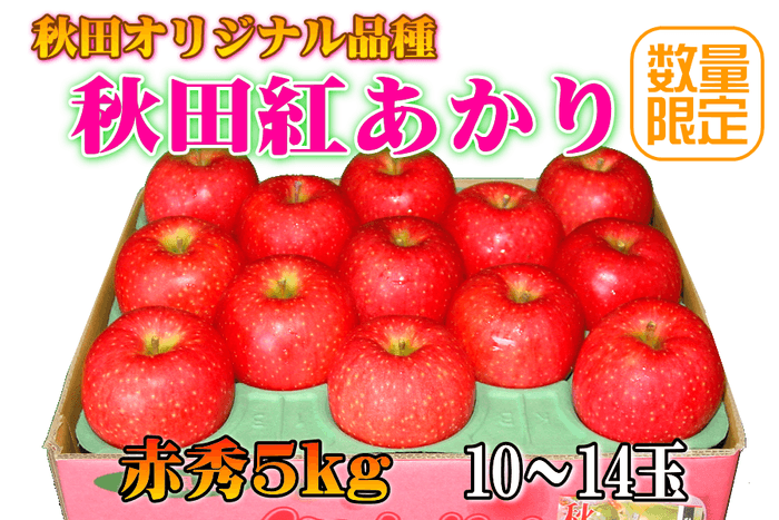秋田紅あかり 「赤秀」5㎏(10~14玉)【秋田オリジナル品種】