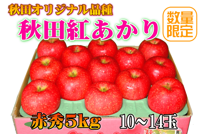 秋田紅あかり 「赤秀」５㎏（１０～１４玉）【秋田オリジナル品種】