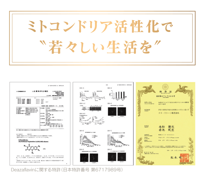 ミトコンドリア活性2