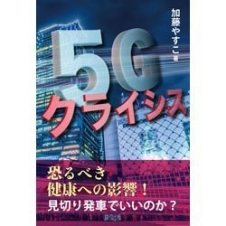 アフター勉強会 加藤やすこ