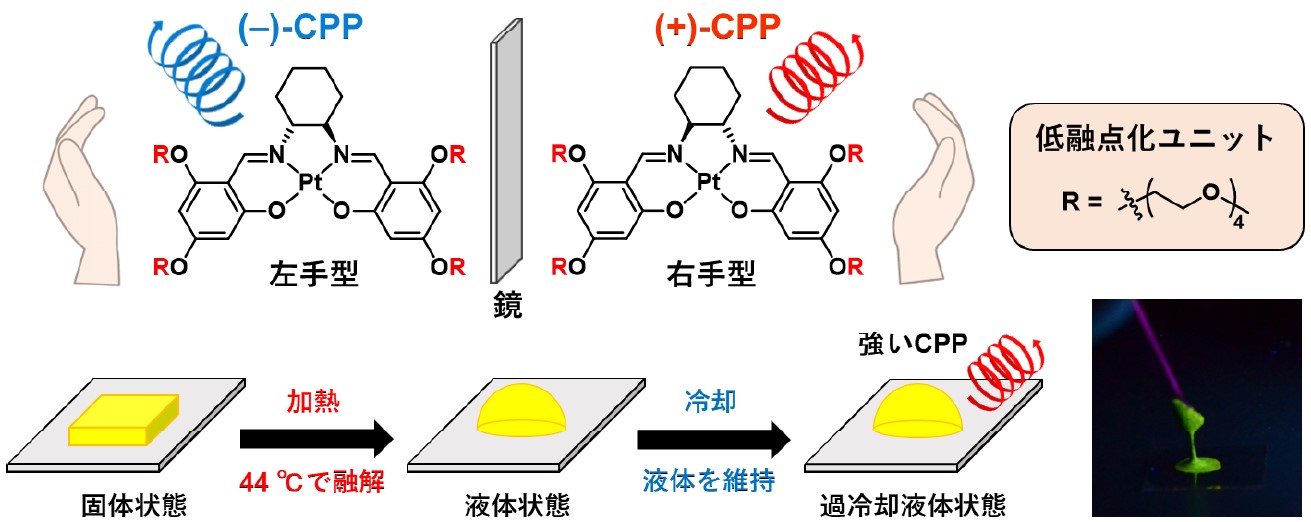 室温で円偏光りん光を発する液体材料の開発に成功 ～次世代