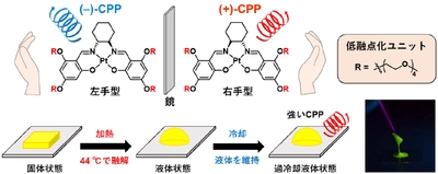 室温で円偏光りん光を発する液体材料の開発に成功　～次世代セキュリティインクへの応用に期待～