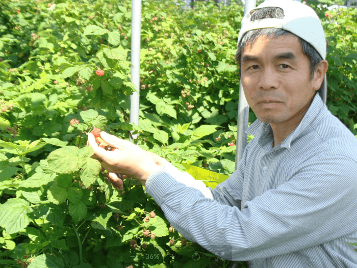 プランテーションまるやま様